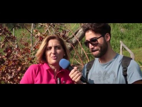 Guarda il video