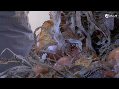 Guarda il video