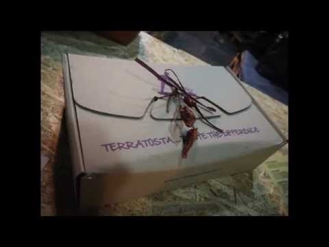 Guarda il video