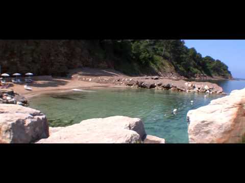 Guarda il video