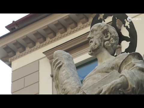 Guarda il video