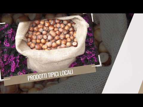 Guarda il video