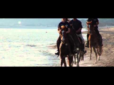 Guarda il video